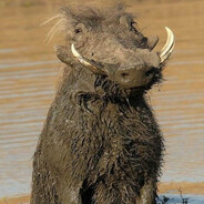 My Name Is Mud