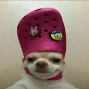 Djeki avatar