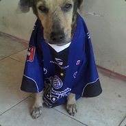Cobrad0r