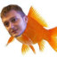 JE SUIS UN POISSON