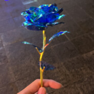 一身转战三千里