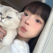 Thousand paper cranes