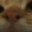 GGary126