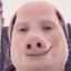 John Pork