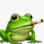 Frog smoking a fat dart