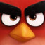 AngryBirdsAR