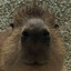AGamingCapybara