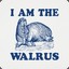 thewalrus50