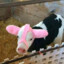 pinkcow