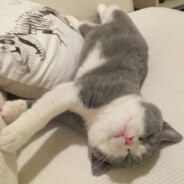 这就是老年反应