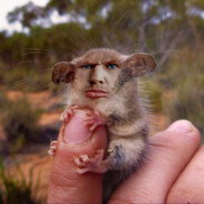 Жижа2009 - steam id 76561198332399537