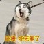 吉川富郎