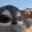 xexexexexe Steam avatar