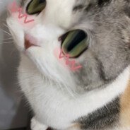 纯情丫头火辣辣