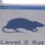 level 5 rat