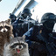 Racoon from SWAT