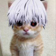 Мамин котик