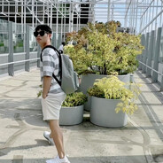 爪哇藍蕉啦