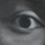 SKINS
