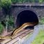Tunnel Snake Harves