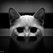 the best player ever