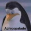 ACHICOPALADO