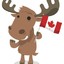 CanadianMoose