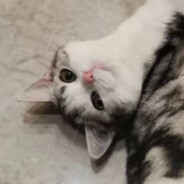 偏铝酸钠