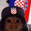 CRO CAT MANIA