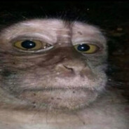 -1nterpol.? rikoshed