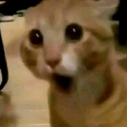 ❌271k - steam id 76561198235911884