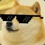 Dogewithit