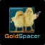 Gold Spacer