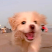 长矛蘸屎戳谁谁死