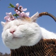 抢我辣条还想跑？