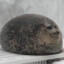 Sealy