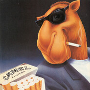 Smokin' Joe Camel