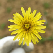 别回头哥很温柔