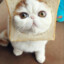 breadcat