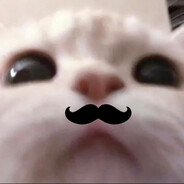 呆被子