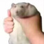 。。。。