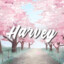 Harvey