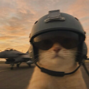 ༻︻デ 一<3 skins.army