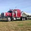 ThePeterbilt379EXHDGuy