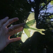 不抽香烟(本升专版)