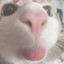yurru