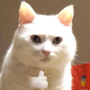 YH♕永恒♕ 慕宇