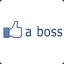 Like a boss lindo