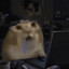 Revem