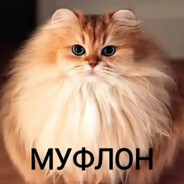 vovkagolovkaa